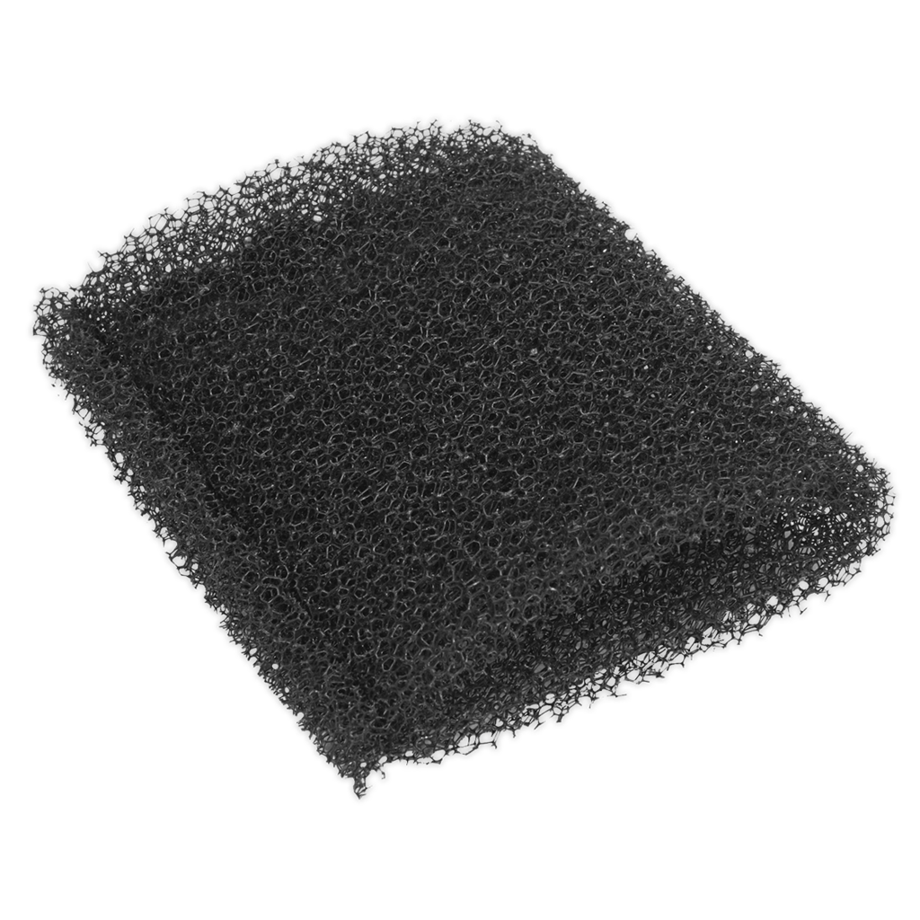 Foam Filter for PC20SD20V - Pack of 10