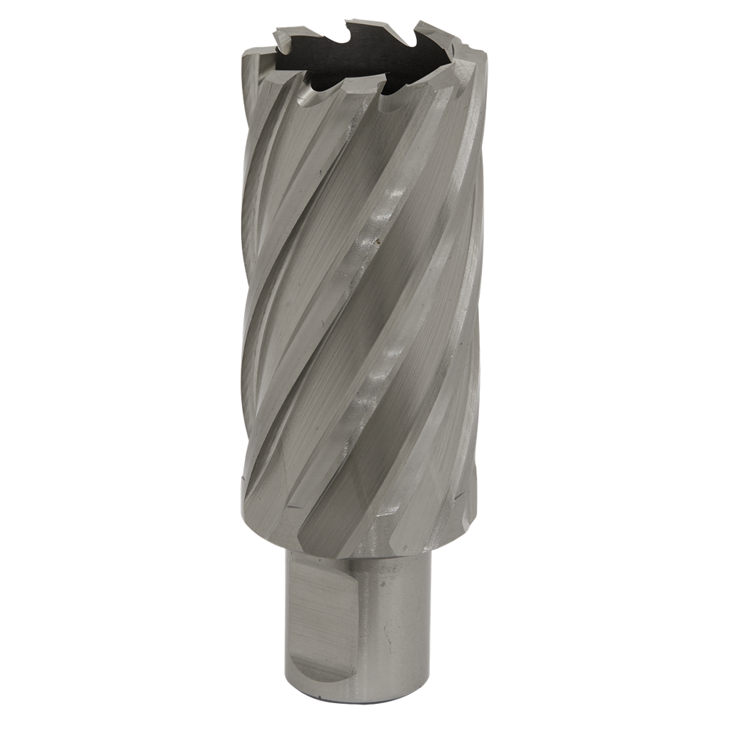 Rotabor Cutter HSS &#216;31mm - Cut Depth 50mm