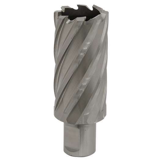 Rotabor Cutter HSS &#216;31mm - Cut Depth 50mm