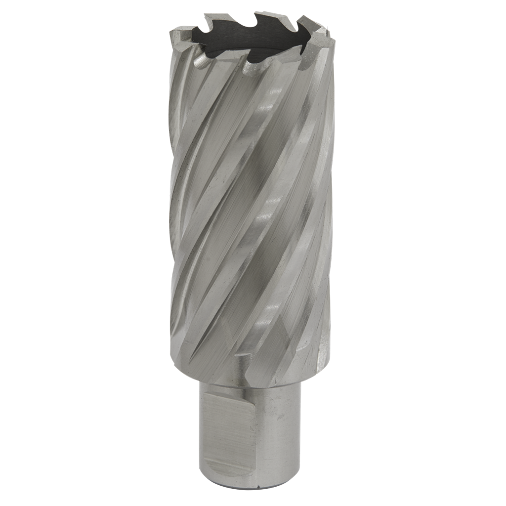 Rotabor Cutter HSS &#216;30mm - Cut Depth 50mm