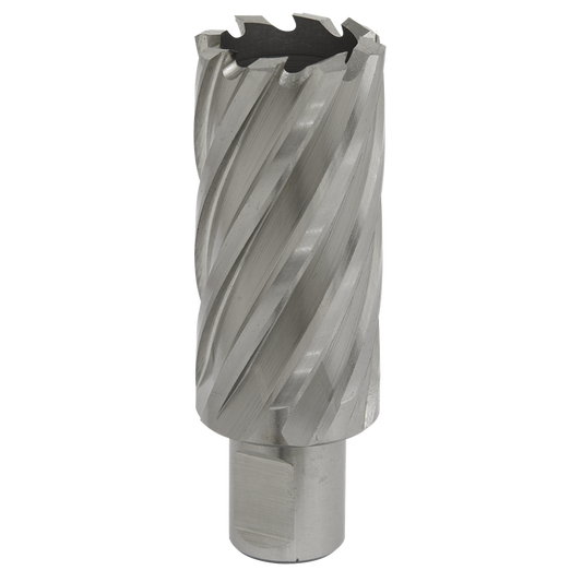 Rotabor Cutter HSS &#216;30mm - Cut Depth 50mm