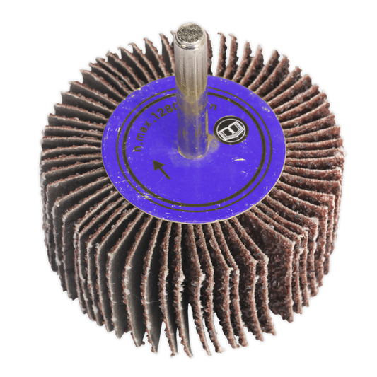 Flap Wheel &#216;60 x 30mm 80Grit 6mm Shaft