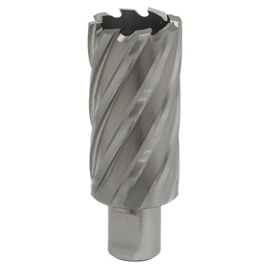 Rotabor Cutter HSS &#216;32mm - Cut Depth 50mm