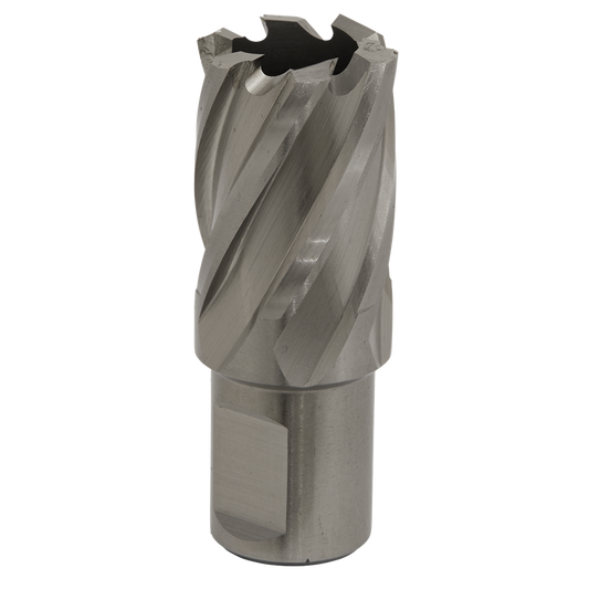 Rotabor Cutter HSS &#216;22mm - Cut Depth 25mm