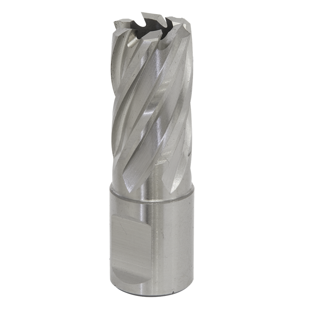Rotabor Cutter HSS &#216;17mm - Cut Depth 25mm