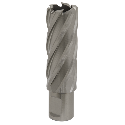 Rotabor Cutter HSS &#216;23mm - Cut Depth 50mm
