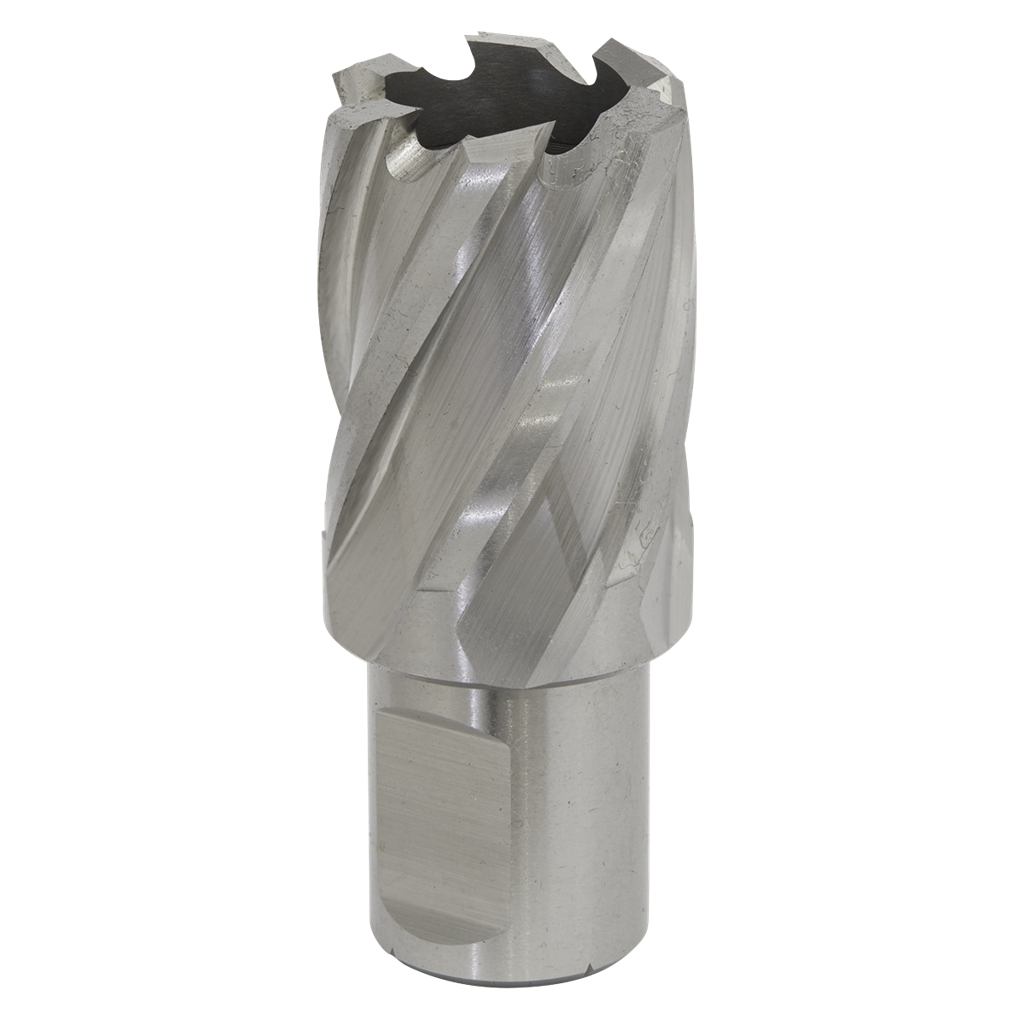 Rotabor Cutter HSS &#216;25mm - Cut Depth 25mm