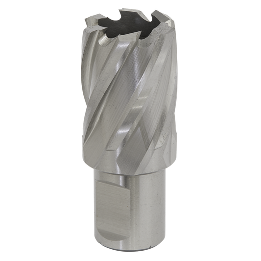Rotabor Cutter HSS &#216;25mm - Cut Depth 25mm