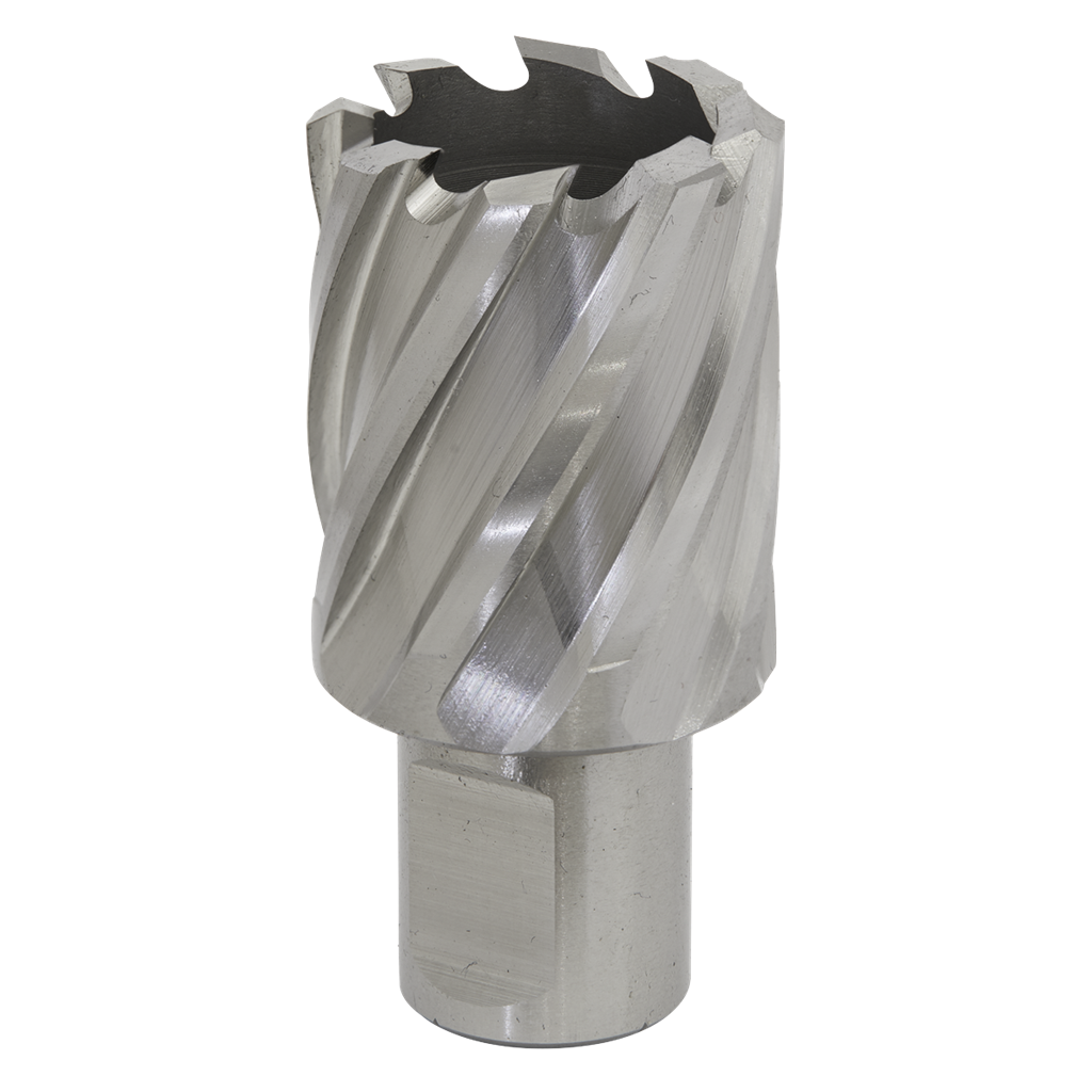 Rotabor Cutter HSS &#216;30mm - Cut Depth 25mm