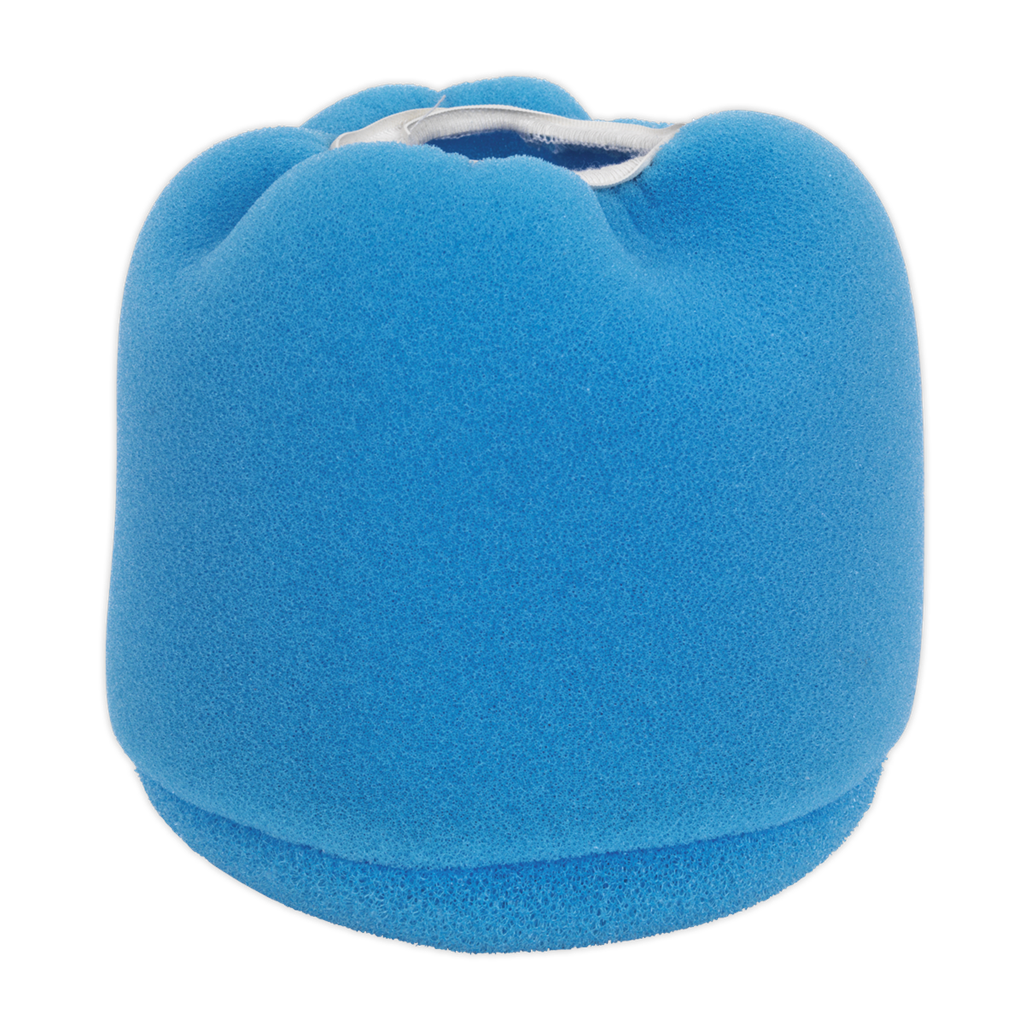 Foam Filter