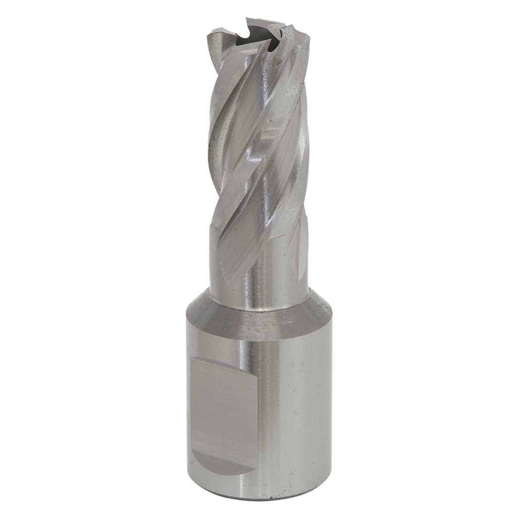 Rotabor Cutter HSS &#216;13mm - Cut Depth 25mm
