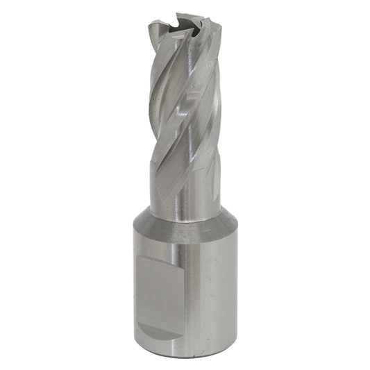 Rotabor Cutter HSS &#216;13mm - Cut Depth 25mm