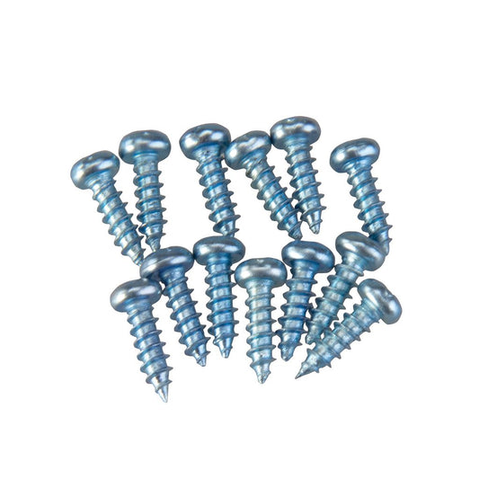 Triton Pan Head Screws 12pk - WRA001