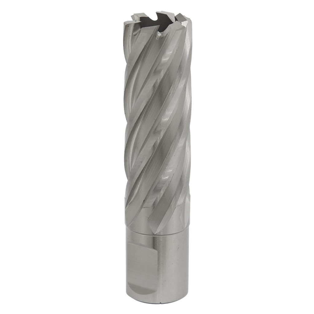 Rotabor Cutter HSS &#216;20mm - Cut Depth 50mm