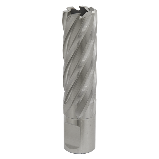Rotabor Cutter HSS &#216;20mm - Cut Depth 50mm