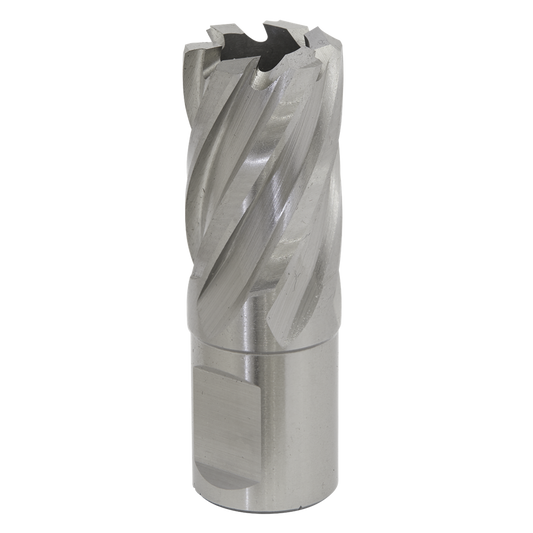 Rotabor Cutter HSS &#216;20mm - Cut Depth 25mm
