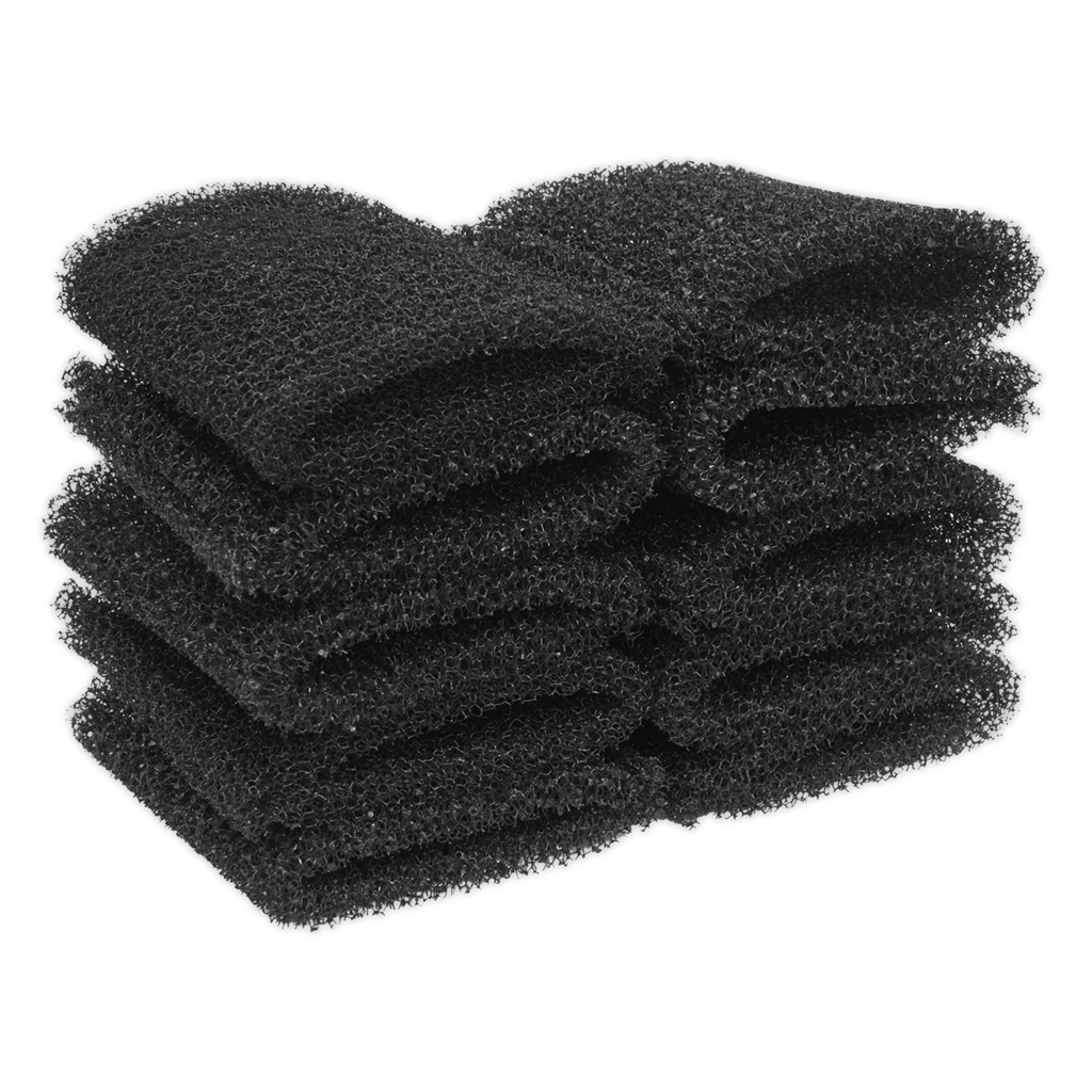 Foam Filter for PC20SD20V - Pack of 10