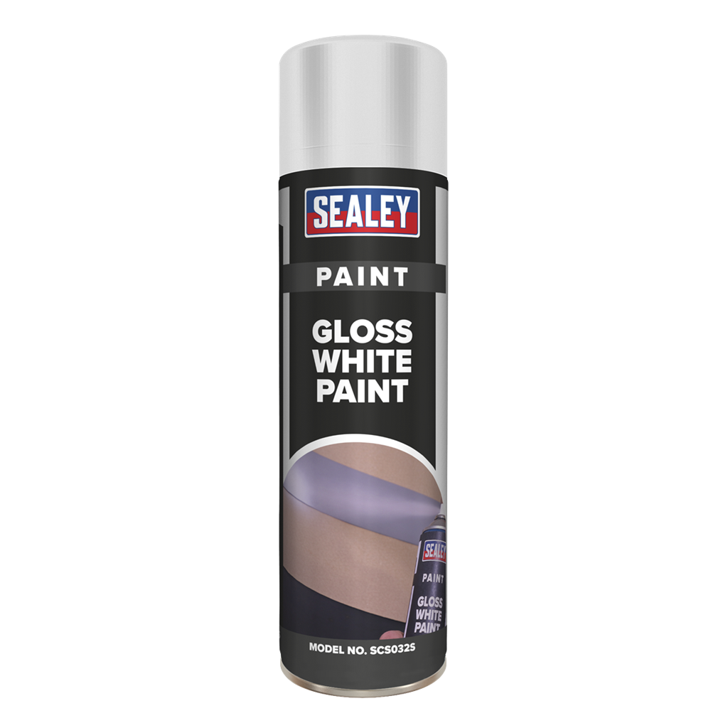 White Gloss Paint 500ml