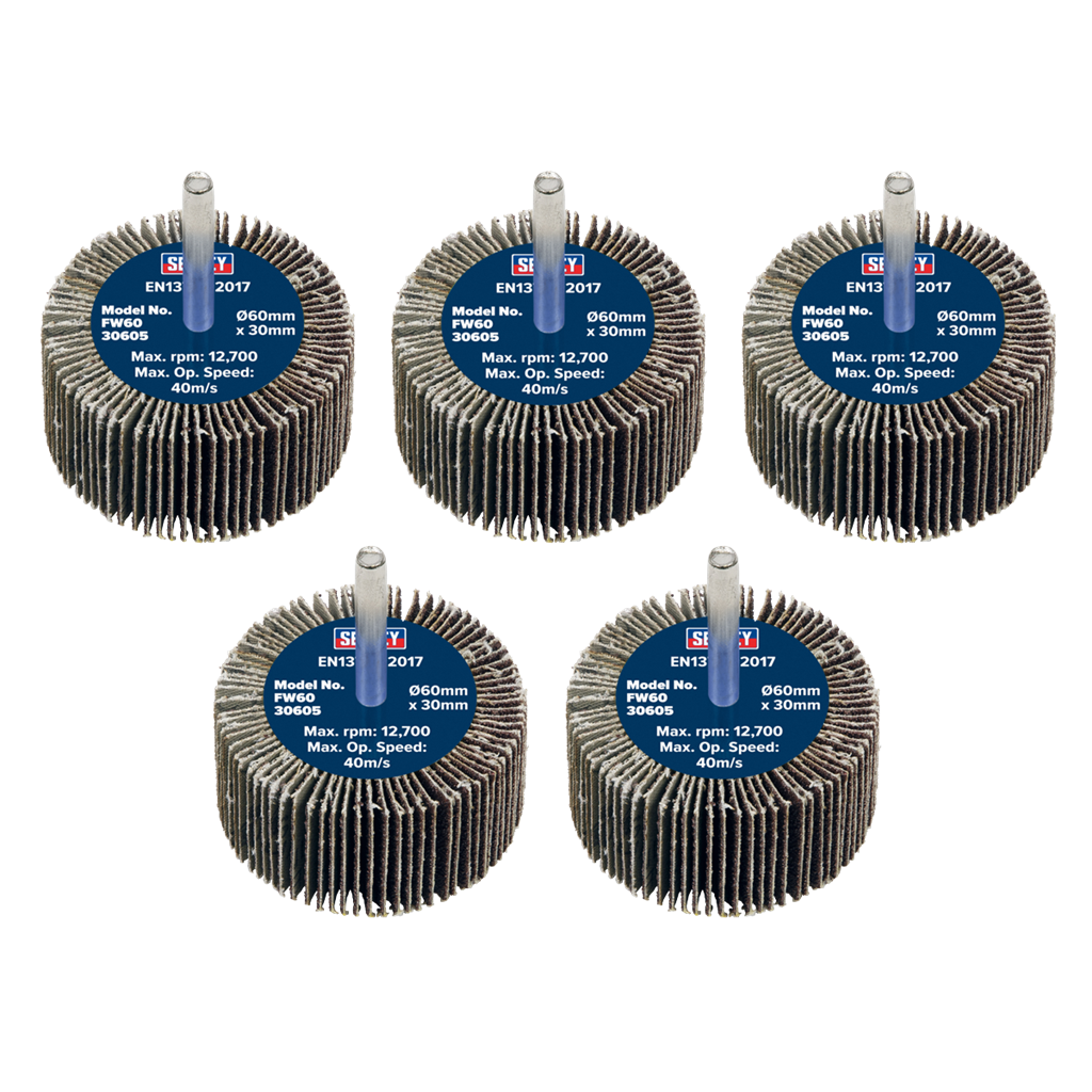 Flap Wheel &#216;60 x 30mm 60Grit &#216;6mm Shaft - Pack of 5