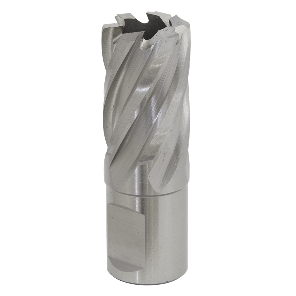 Rotabor Cutter HSS &#216;21mm - Cut Depth 25mm