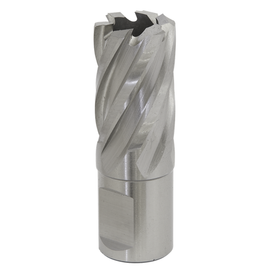 Rotabor Cutter HSS &#216;21mm - Cut Depth 25mm