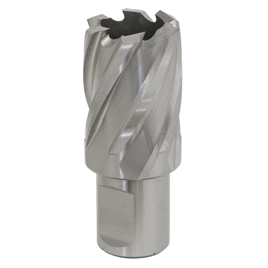 Rotabor Cutter HSS &#216;28mm - Cut Depth 25mm