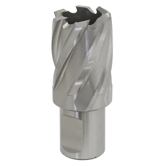 Rotabor Cutter HSS &#216;28mm - Cut Depth 25mm