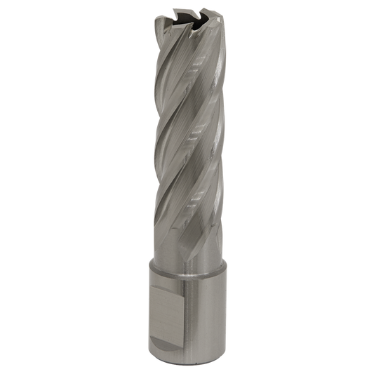 Rotabor Cutter HSS &#216;17mm - Cut Depth 50mm