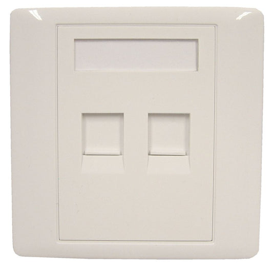 RJ45 Twin Shuttered Outlet Plate With Screws.