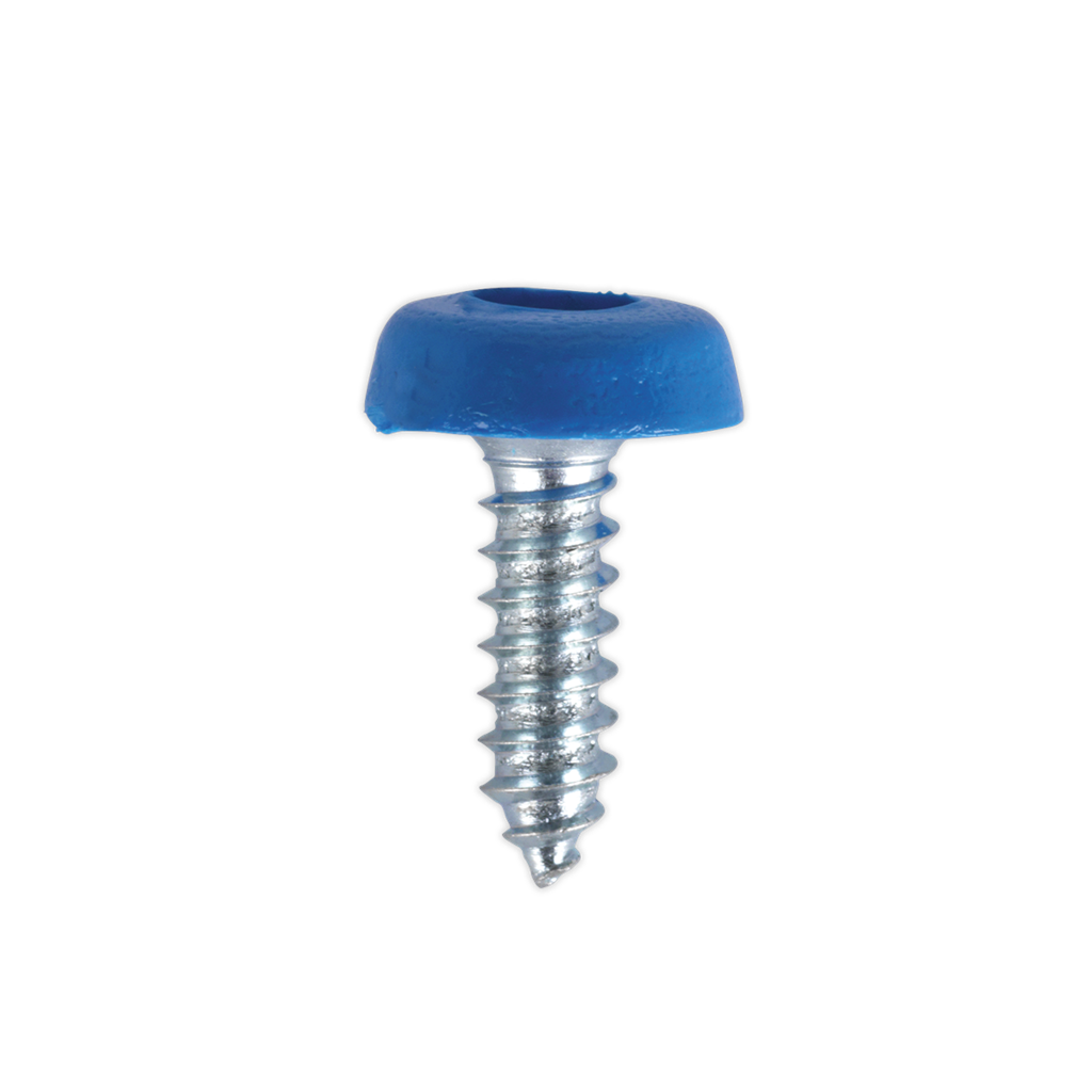 Numberplate Screw Plastic Enclosed Head 4.8 x 18mm Blue Pack of 50