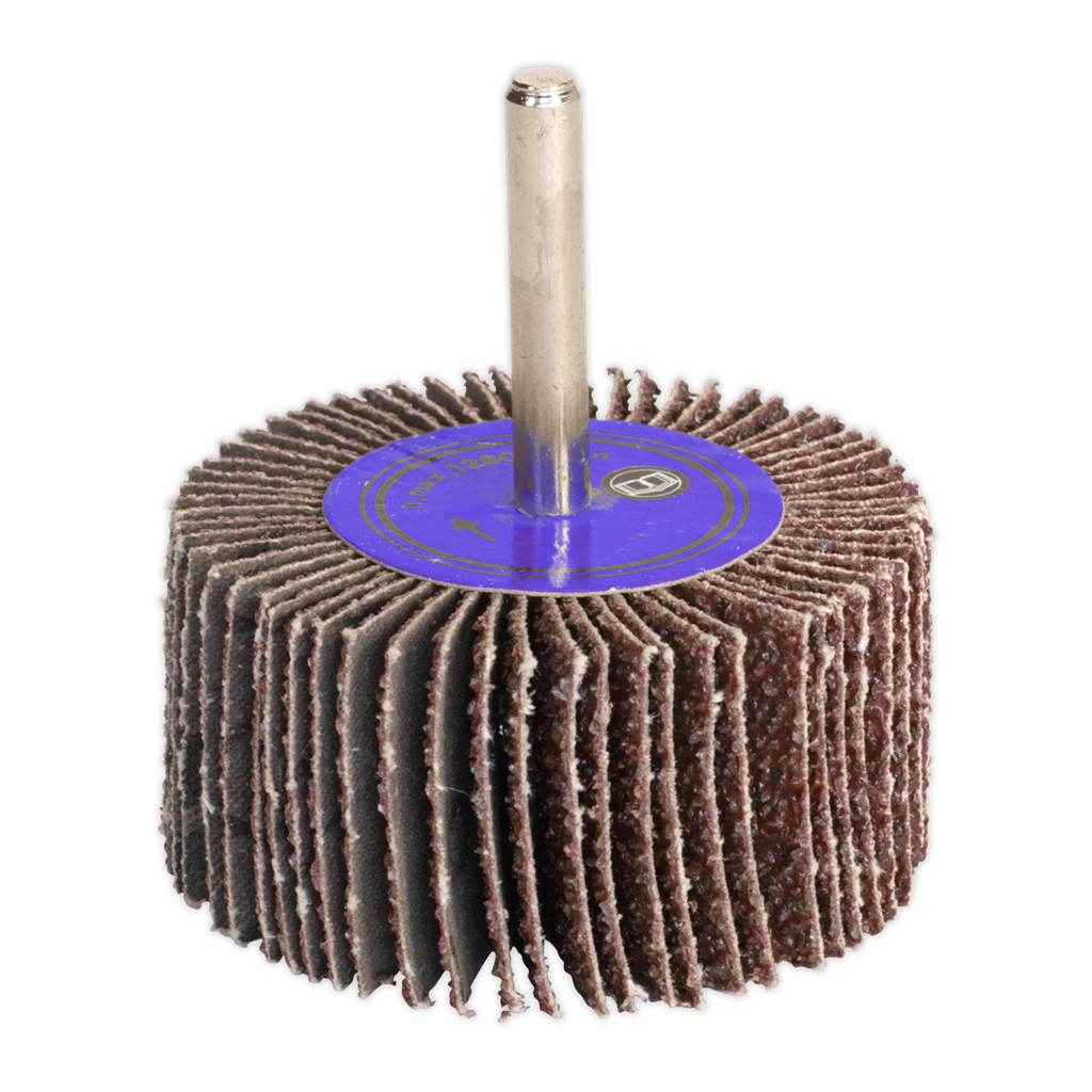 Flap Wheel &#216;50 x 25mm 80Grit 6mm Shaft