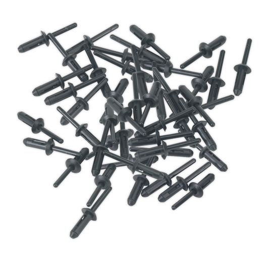 Plastic Rivet &#216;6.6 x 17.2mm Pack of 50