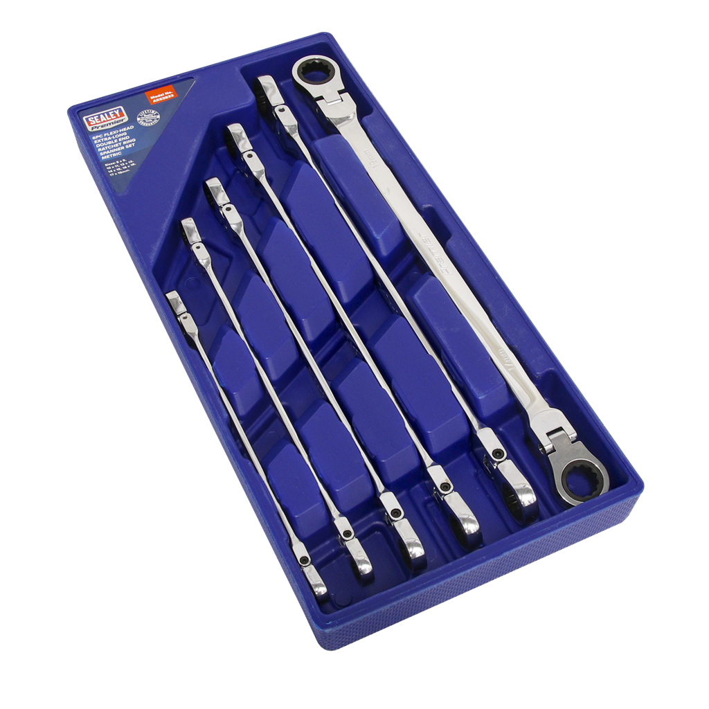 Flexi-Head Double End Ratchet Ring Spanner Set 6pc Extra-Long Metric