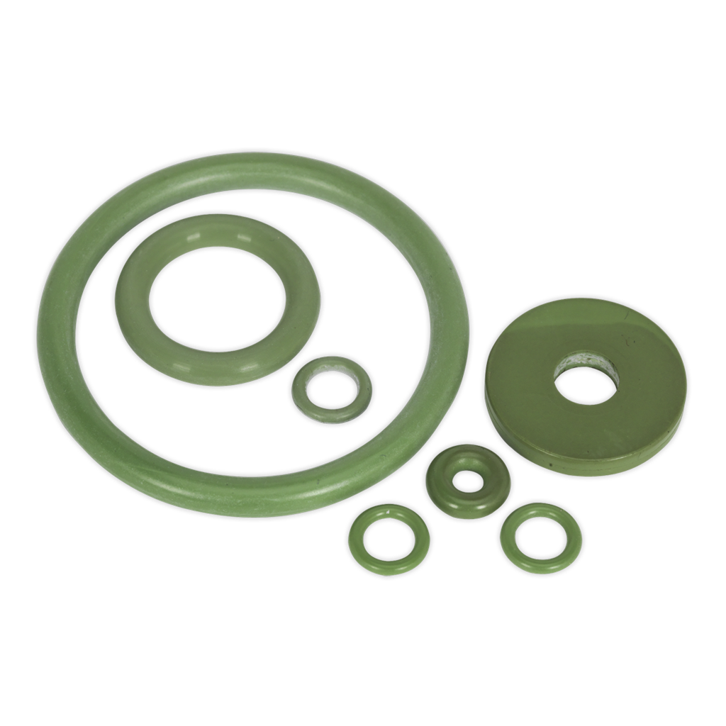 Viton&#174; Seal Kit for SCSG04 & SCSG05