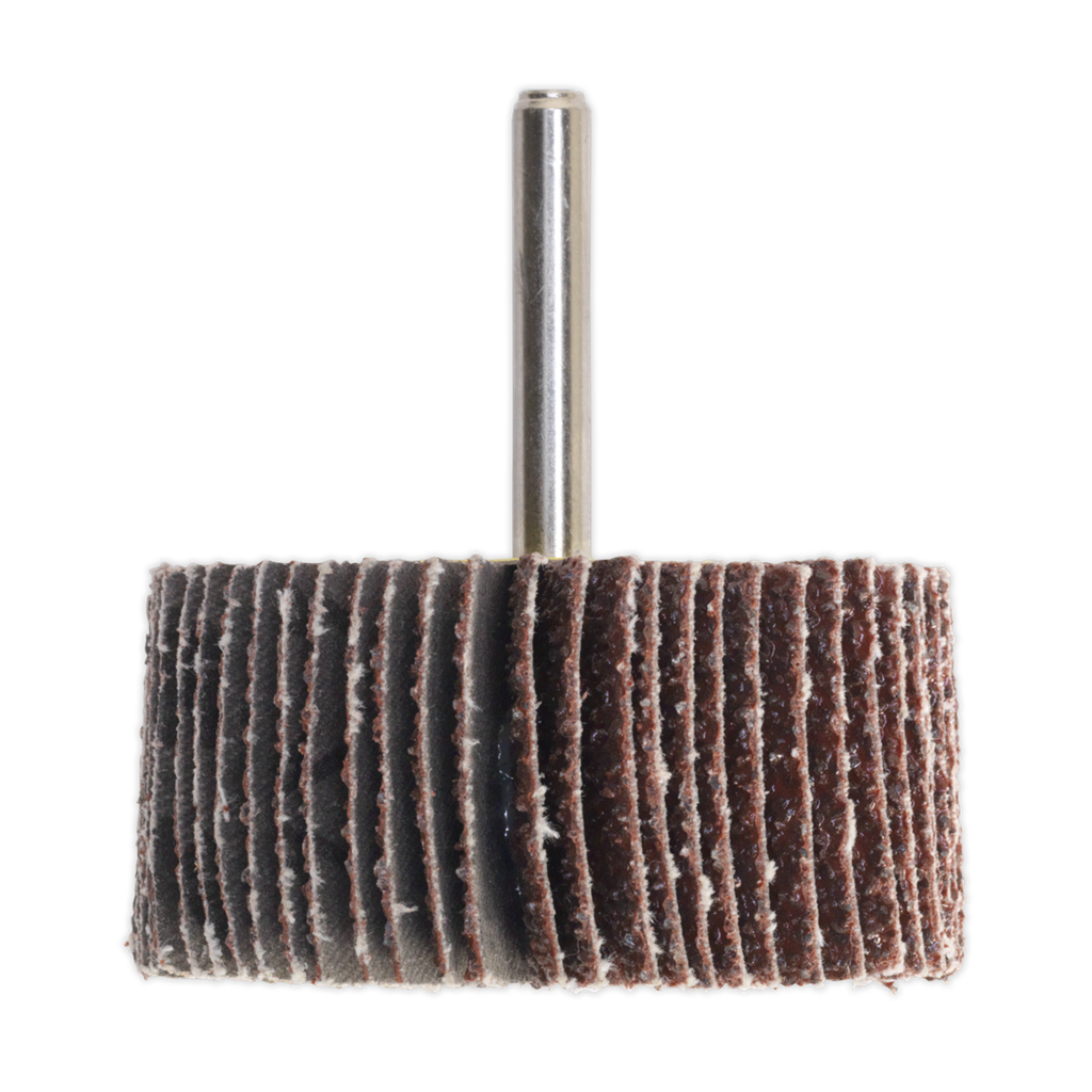 Flap Wheel &#216;40 x 30mm 60Grit 6mm Shaft