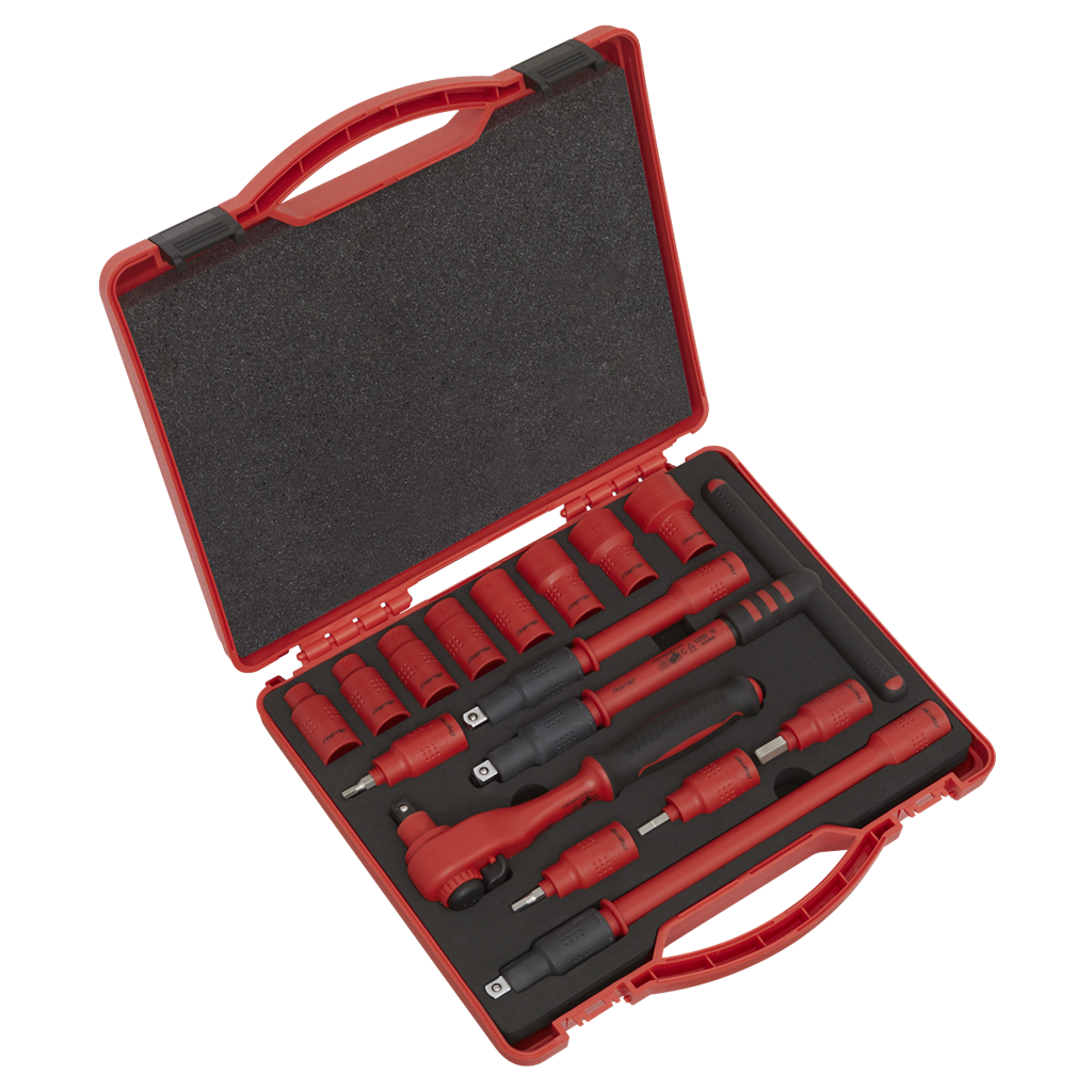 19pc EV/Hybrid Master Tool Kit