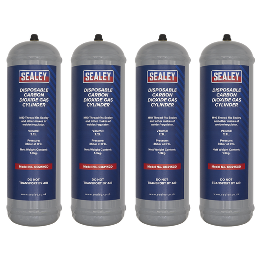 1.3kg Disposable Carbon Dioxide Gas Cylinder - Pack of 4