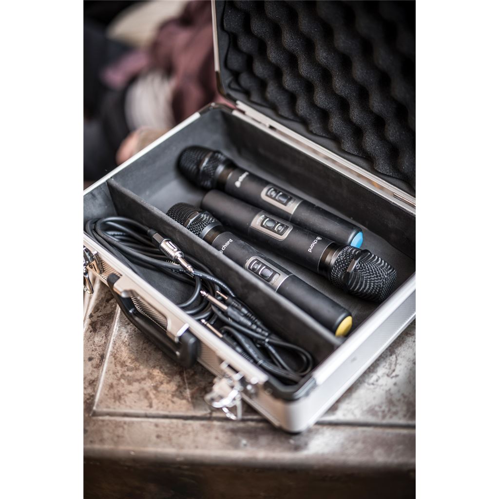Microphone Flight Case - case - MFC330