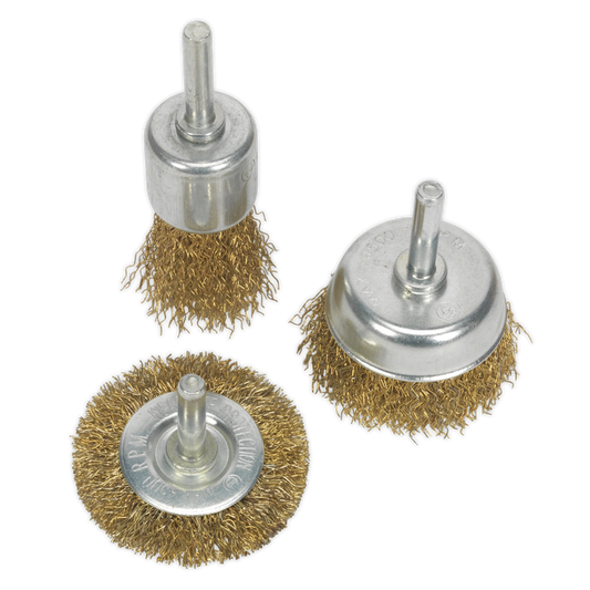 Wire Brush Set 3pc Brassed