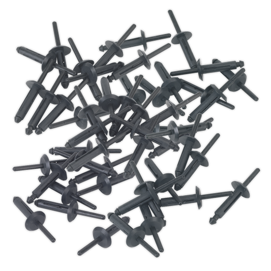 Plastic Rivet &#216;6.3 x 25.2mm Pack of 50