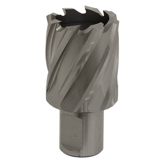 Rotabor Cutter HSS &#216;33mm - Cut Depth 25mm