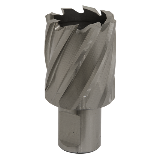 Rotabor Cutter HSS &#216;32mm - Cut Depth 25mm