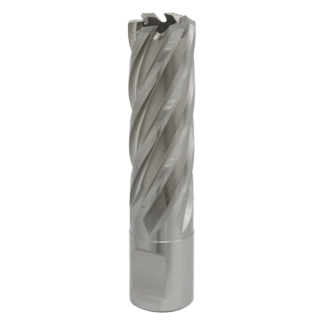 Rotabor Cutter HSS &#216;19mm - Cut Depth 50mm