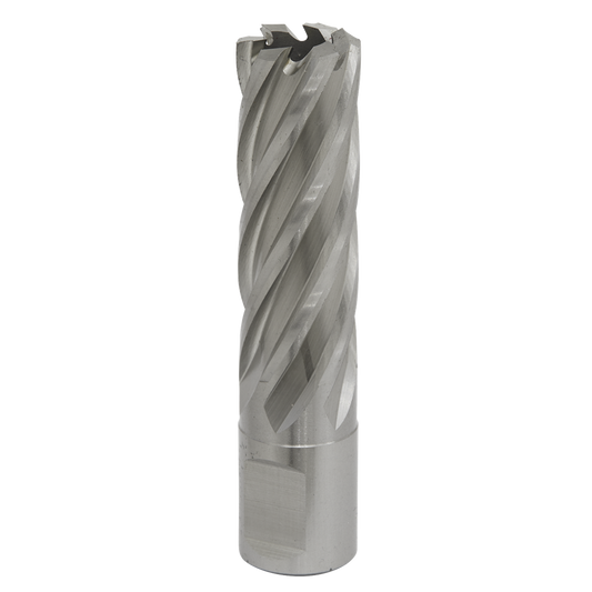 Rotabor Cutter HSS &#216;19mm - Cut Depth 50mm