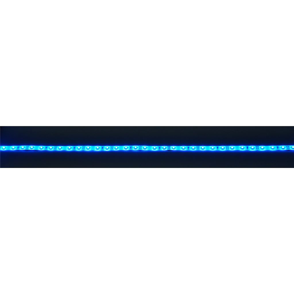 12V Single Colour LED Tape - 5m Reel - Blue - LT12560-BL