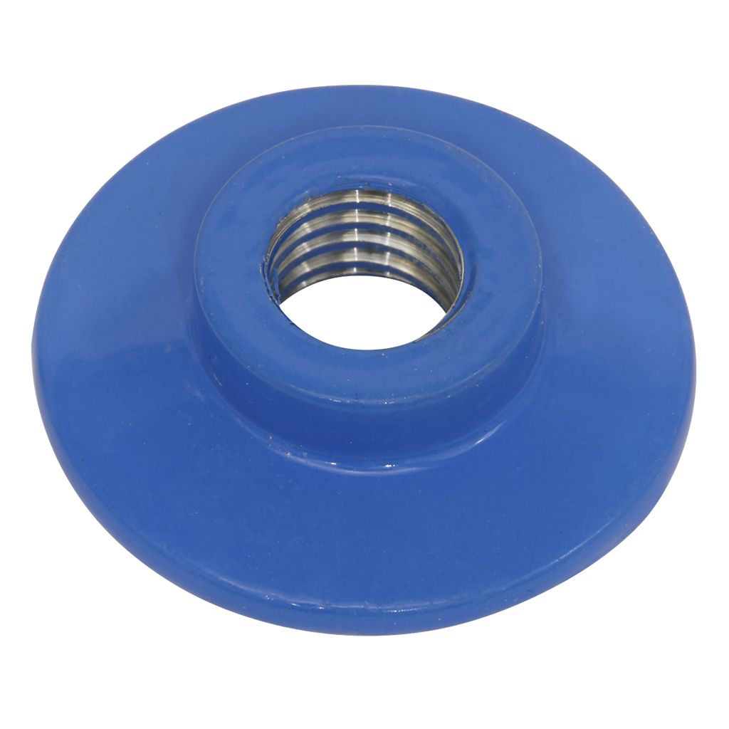 Lock Nut for PTC/BP3 Backing Pad M10 x 1.5mm
