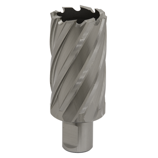 Rotabor Cutter HSS &#216;34mm - Cut Depth 50mm