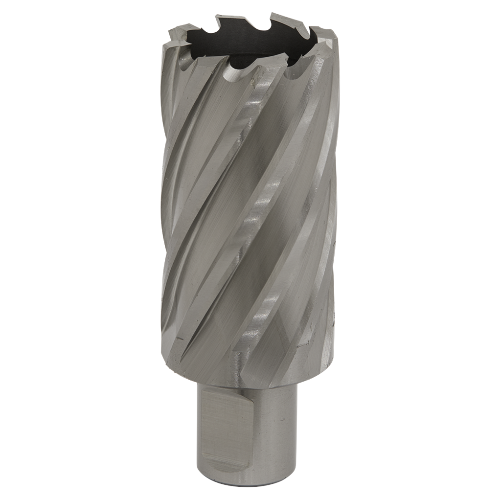 Rotabor Cutter HSS &#216;33mm - Cut Depth 50mm