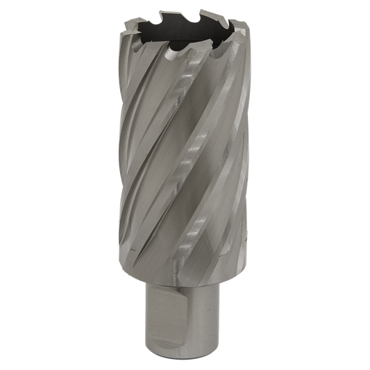Rotabor Cutter HSS &#216;33mm - Cut Depth 50mm