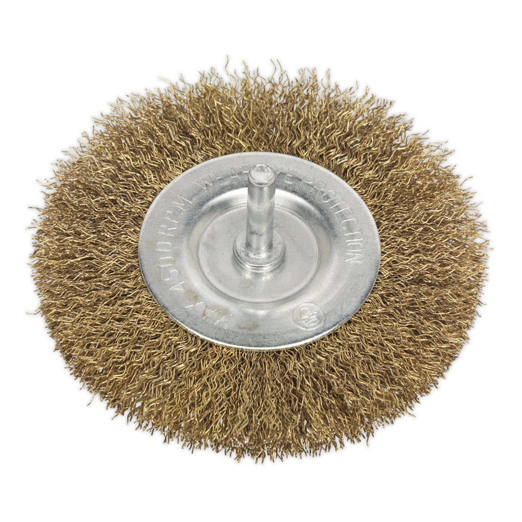 Flat Wire Brush &#216;100mm &#216;6mm Shaft